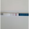 Rugedag 13 (15 dpo)