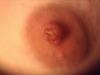 post-42-0-53193700-1389989916_thumb.jpg