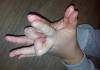 post-706971-936775_thumb.jpg