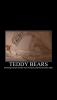 post-42-0-08291500-1422565029_thumb.jpg