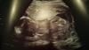 post-42-1303771_thumb.jpg