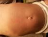 post-42-143146_thumb.jpg