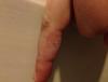 post-42-536824_thumb.jpg