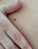 post-42-81062_thumb.jpeg