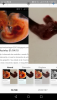 post-42-0-41795700-1488065631_thumb.png