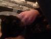 post-42-228838_thumb.jpg