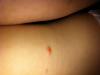 post-42-695842_thumb.jpg