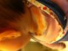 post-853446-817705_thumb.jpg