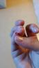 post-42-0-83695200-1426415005_thumb.jpg
