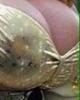 post-42-3767_thumb.jpg