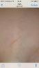 post-42-95307_thumb.jpg