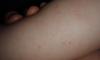 post-42-272348_thumb.jpg