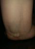 post-42-420739_thumb.jpg