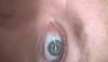 post-42-9861_thumb.jpg