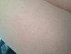 post-42-1219113_thumb.jpeg