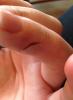 post-42-641753_thumb.jpeg