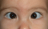 post-775264-0-31856600-1339488467_thumb.gif