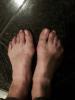 post-42-776400_thumb.jpg