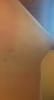 post-42-81399_thumb.jpeg