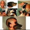 post-42-26607_thumb.jpg