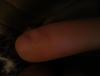 post-42-211738_thumb.jpg