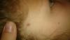 post-42-0-95540000-1436175879_thumb.jpg