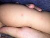 post-42-1673516_thumb.jpg