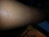 post-42-1480316_thumb.jpg