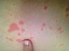 post-42-26875_thumb.jpg
