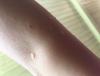 post-42-1016699_thumb.jpeg