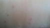 post-42-51501_thumb.jpg