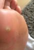 post-42-593789_thumb.jpeg