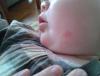 post-838440-0-28526700-1350220094_thumb.jpg