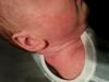 post-42-0-61680900-1382461458_thumb.jpg
