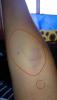 post-42-0-63382500-1412240669_thumb.jpg