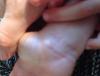 post-42-1165595_thumb.jpg