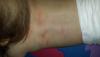 post-42-1906361_thumb.jpg