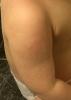 post-42-201435_thumb.jpg