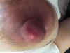 post-42-0-45122900-1443779472_thumb.jpg