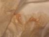 post-42-0-29786800-1477120079_thumb.jpg