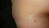 post-42-0-09961100-1416765276_thumb.jpg