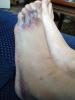 post-42-0-80356400-1417991476_thumb.jpg