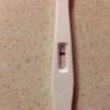 post-42-1171560_thumb.jpg