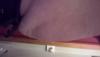 post-42-251664_thumb.jpg