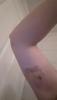post-42-52976_thumb.jpg