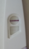 post-42-64040_thumb.png