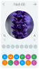 post-42-142269_thumb.png