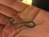 post-42-1469982_thumb.jpeg