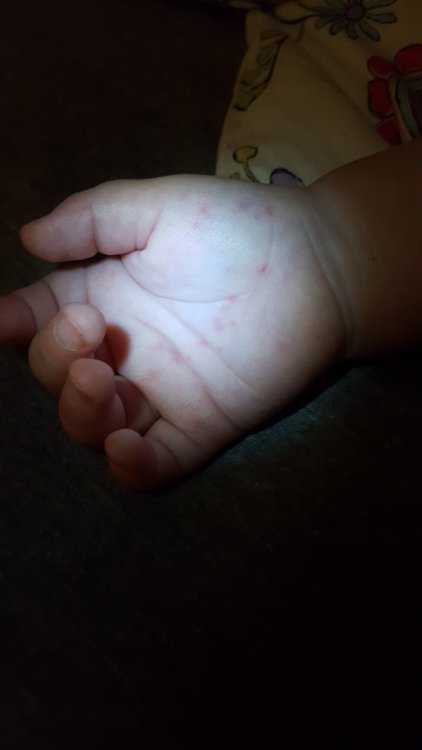 20170519_212156.jpg