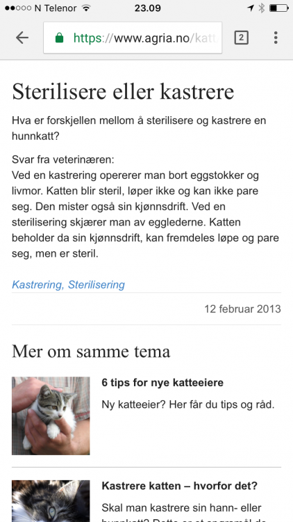 IMG_2781.PNG
